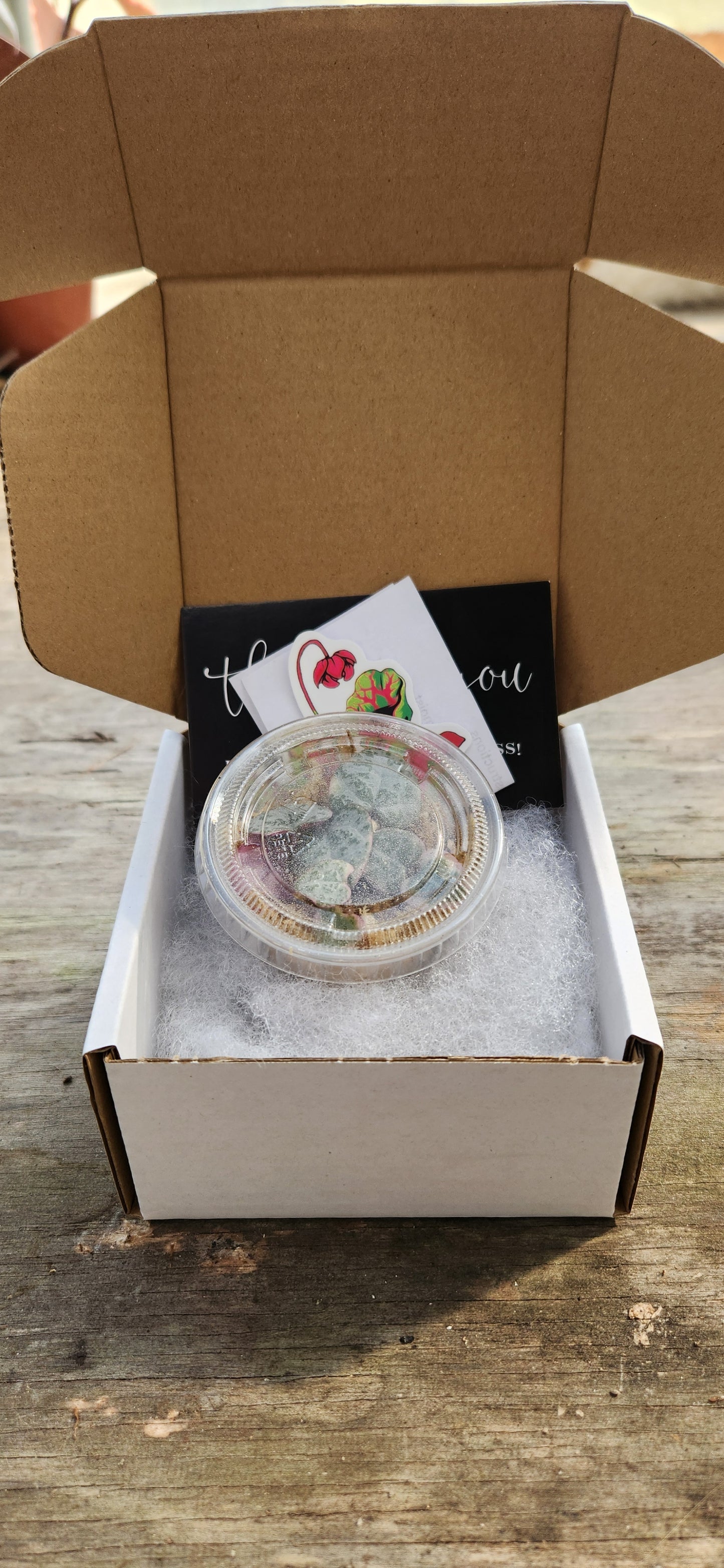 "Introduction to Propagation" Subscription Kit