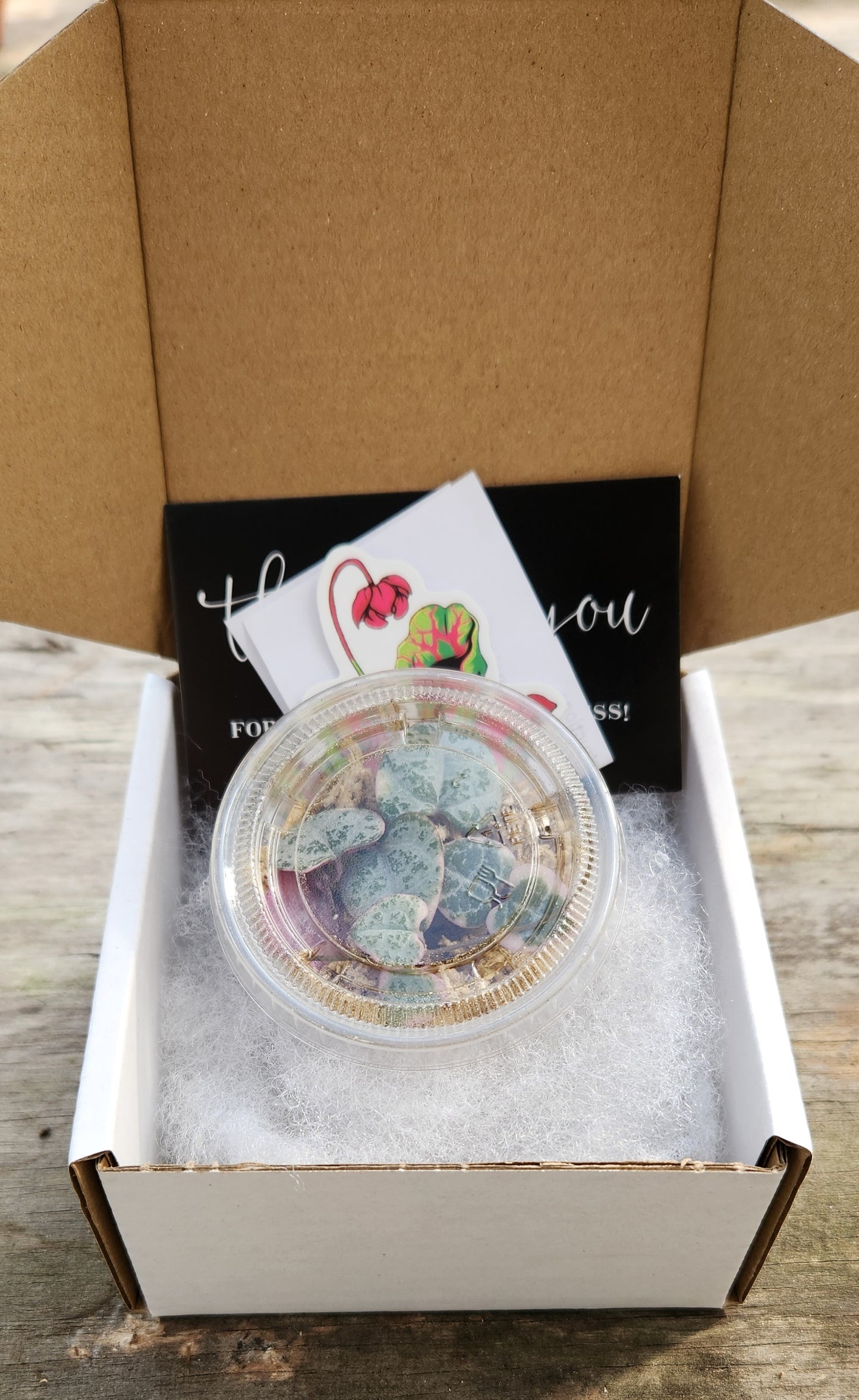 "Introduction to Propagation" Garden Science Subscription Kit