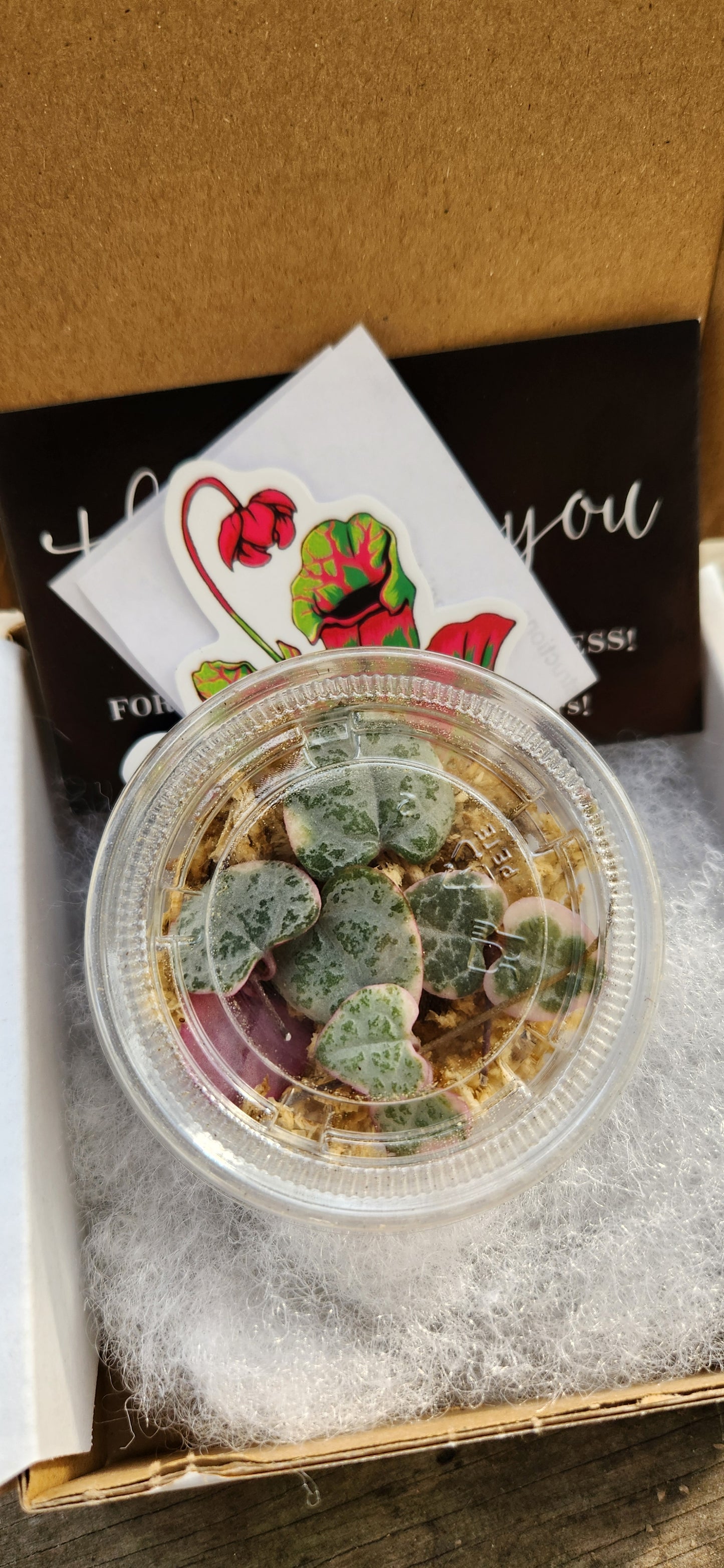 "Introduction to Propagation" Subscription Kit