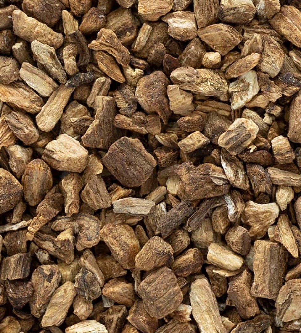 Burdock Root