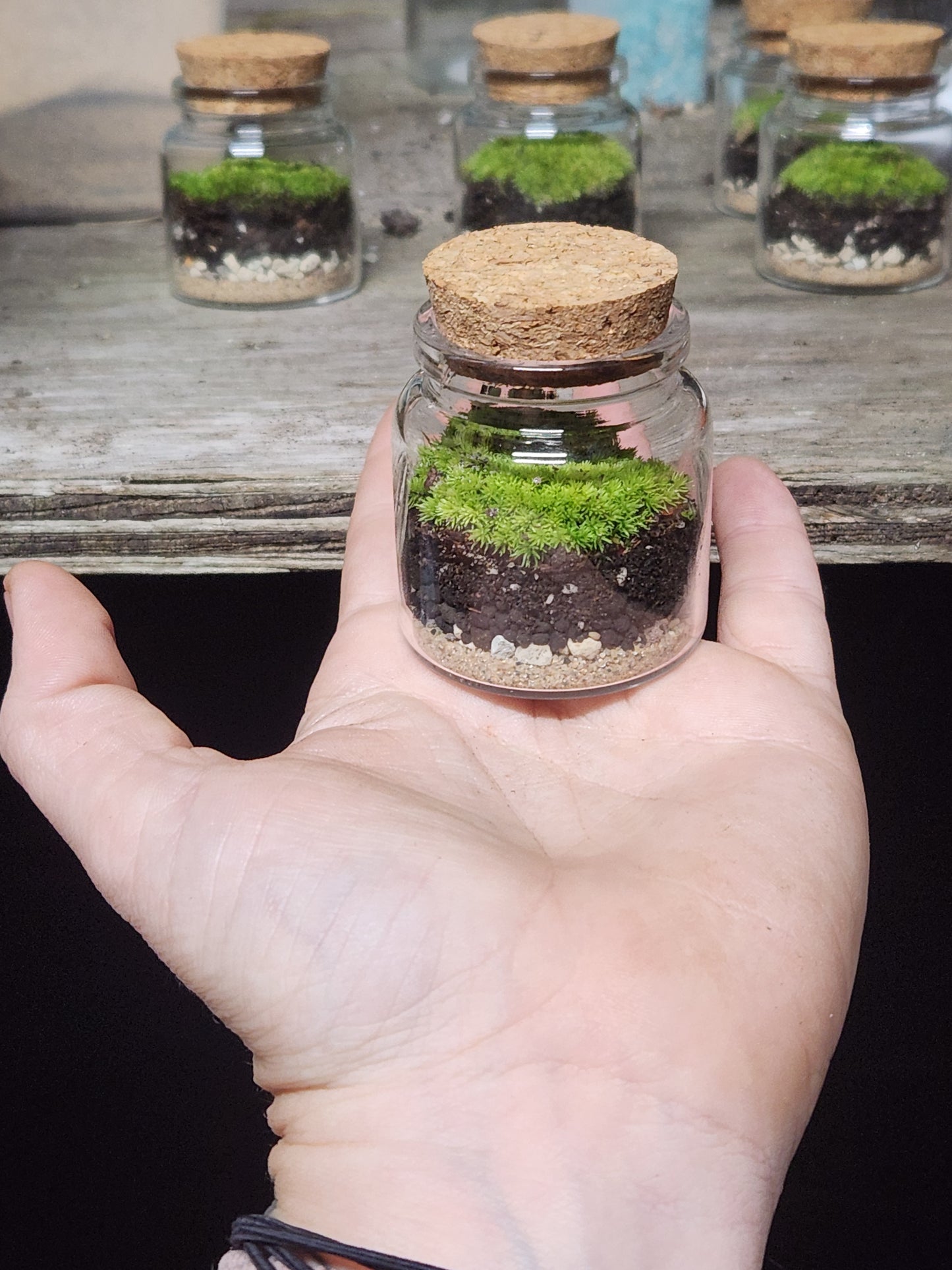 Small Glass Stoppered Moss Terrarium