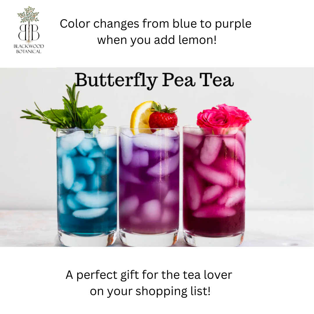 Butterfly Pea Flower Tea