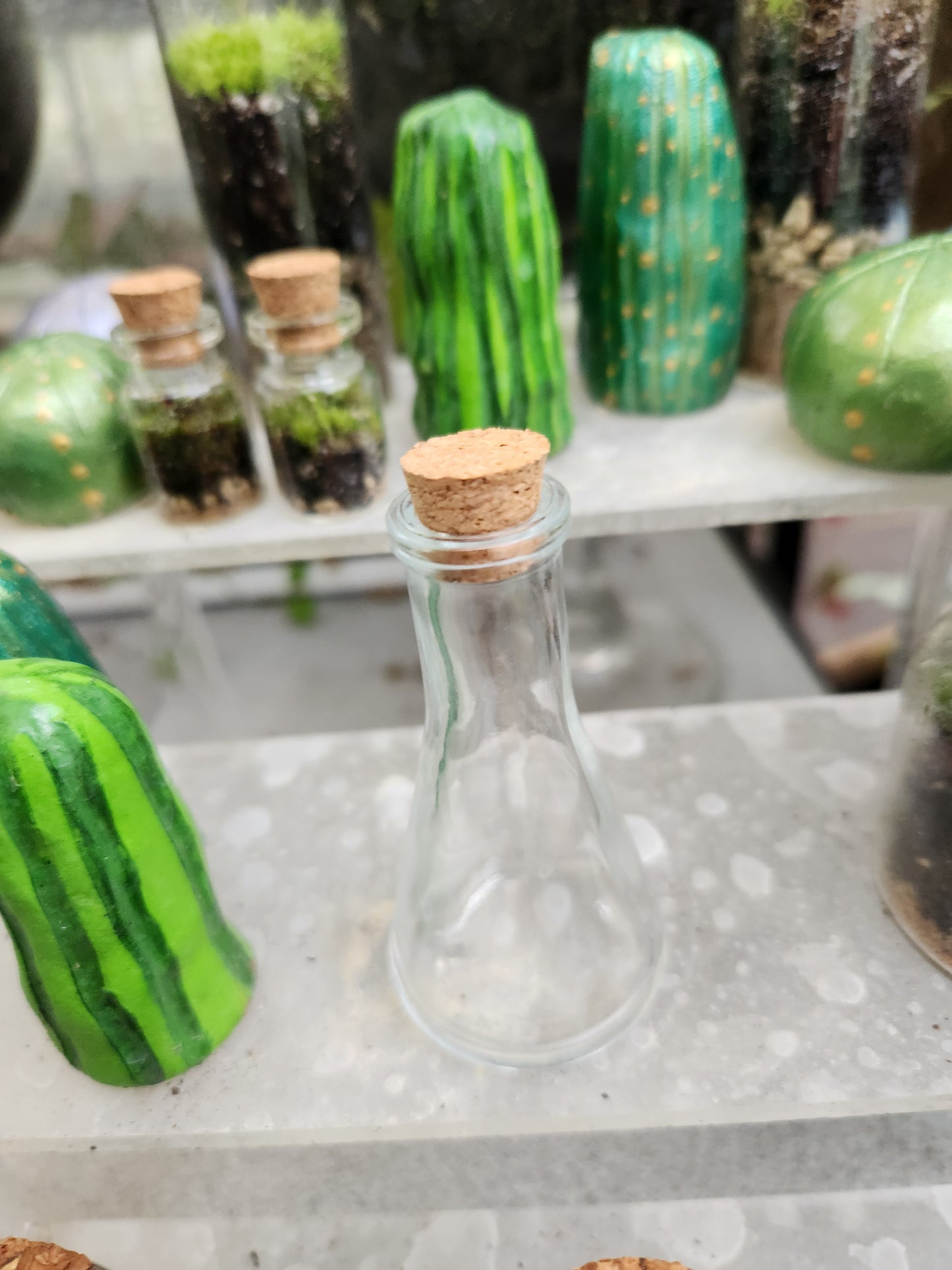 Potion Terrarium Bottles