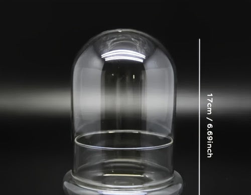 Bell Jar Glass Terrarium