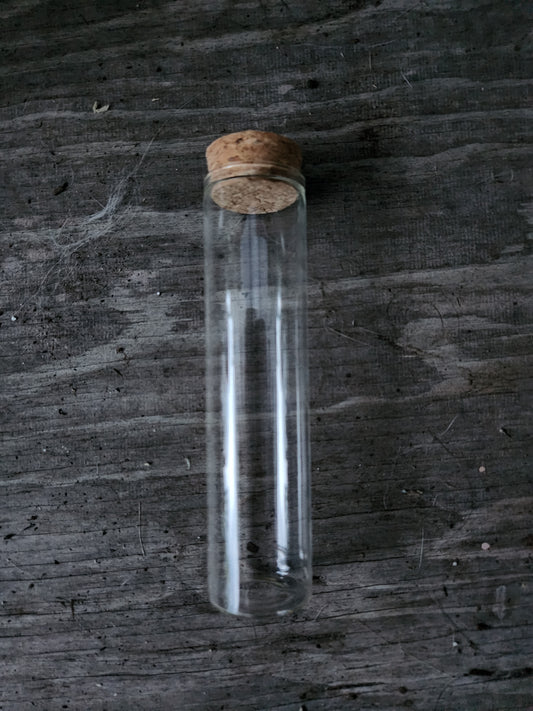 Clear Glass Stoppered Tube