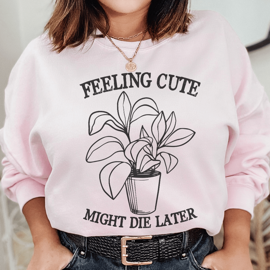 Feeling Cute Might Die Later
