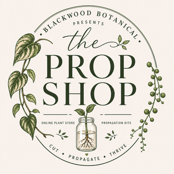 Blackwood Botanical