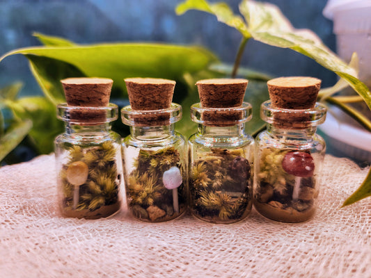 Miniature Glass Terrarium Jar with Mushroom