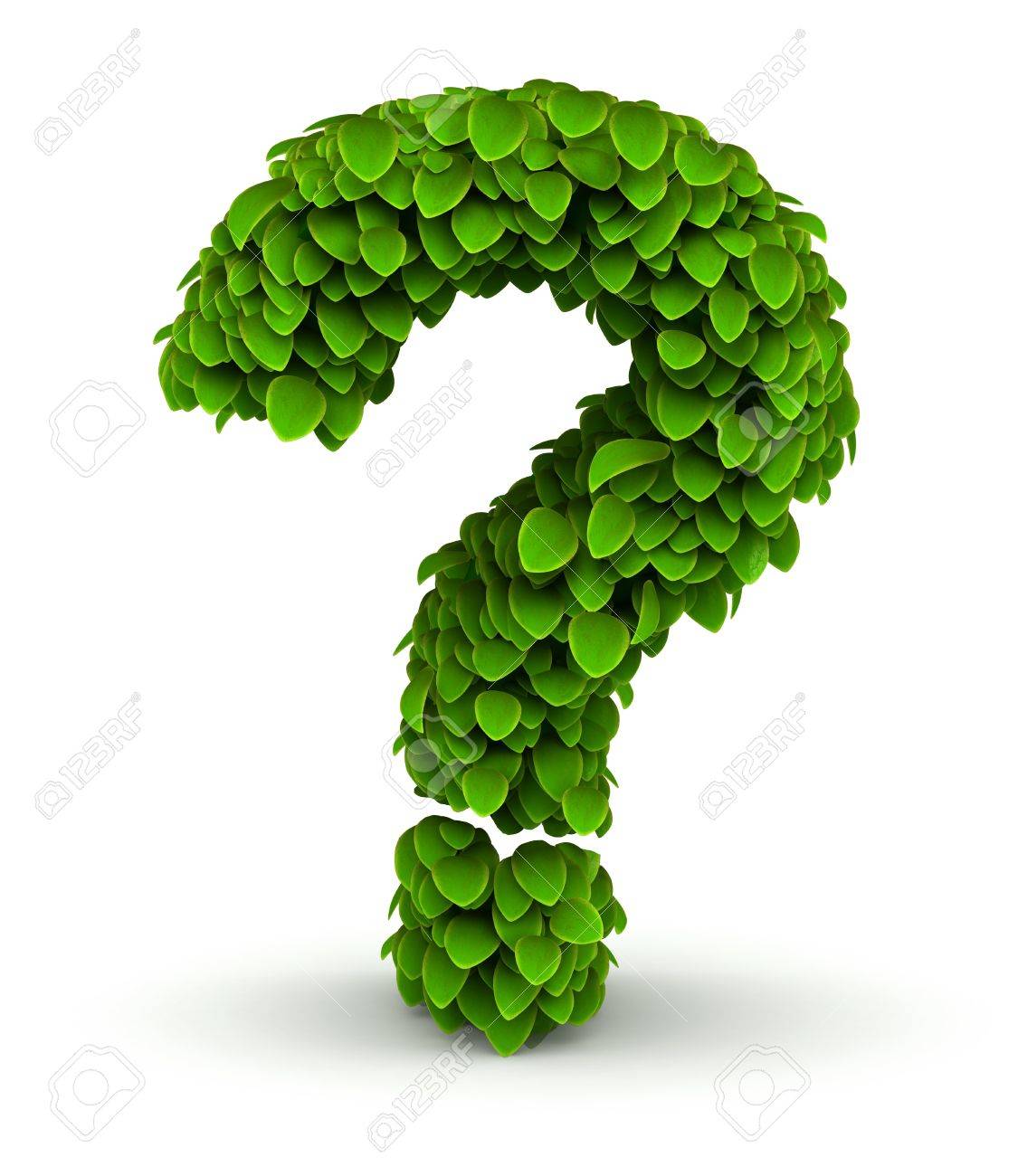 Mystery Starter Plant