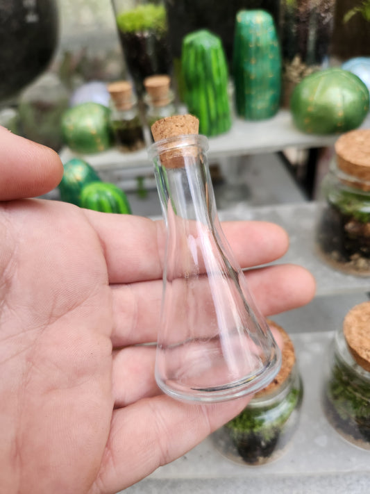 Potion Terrarium Bottles