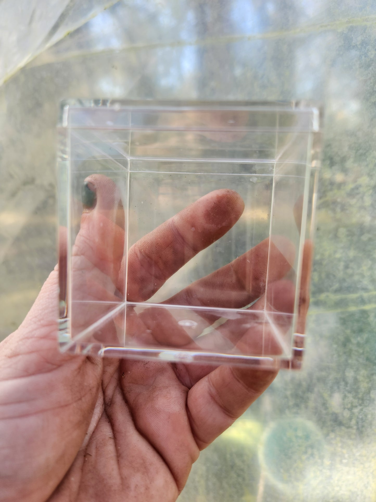 Clear Acrylic Box Terrarium