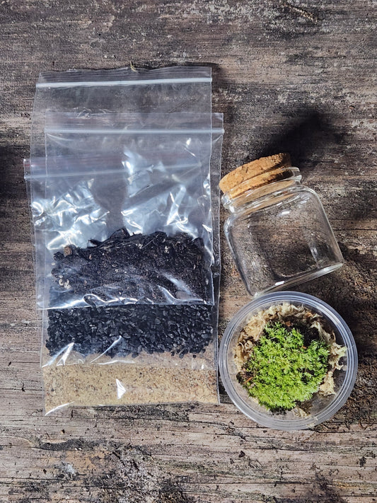 DIY Terrarium Kit