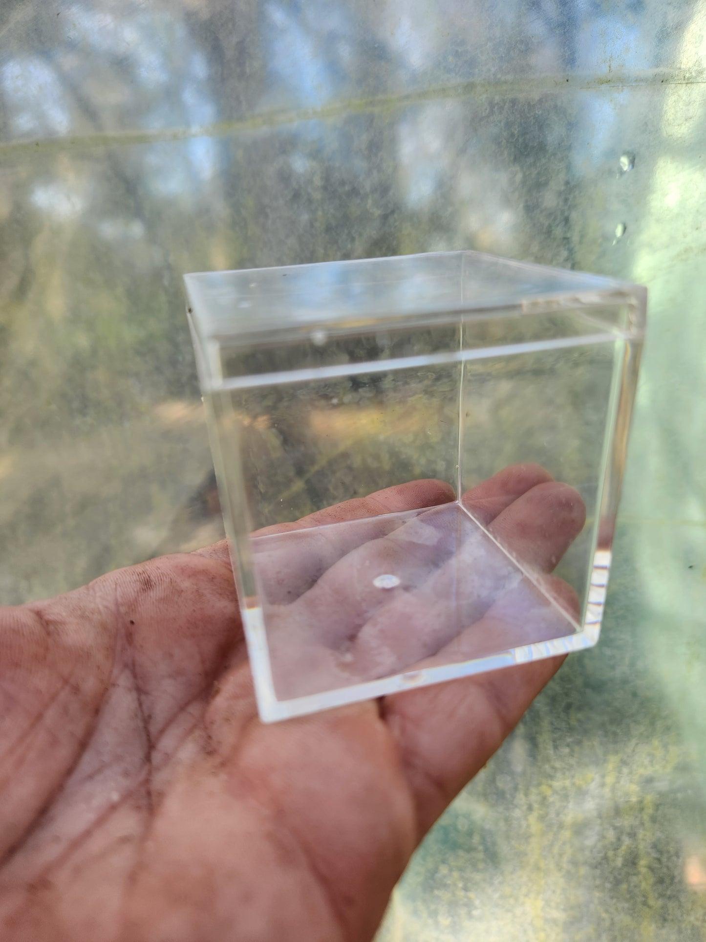 Clear Acrylic Box Terrarium